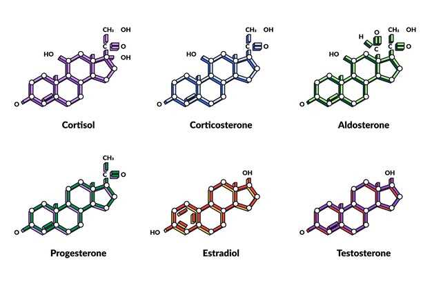 Coumadin diclofenac