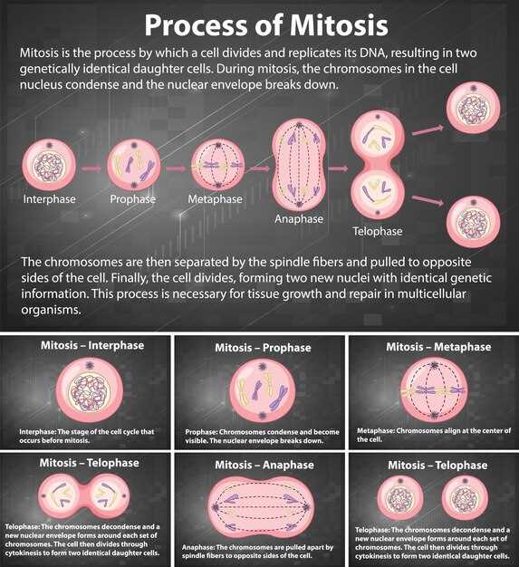 2. Metabolic Evolution